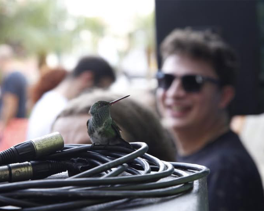 Antonina_Blues_Festival_Leme